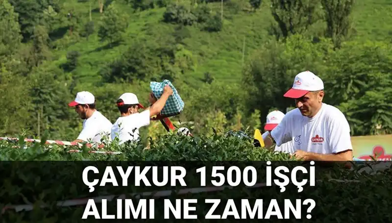 Çaykur İşçi Alımı Başvuru Tarihleri ve Son Gelişmeler