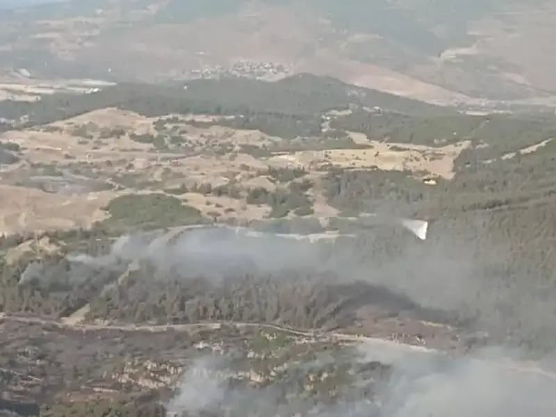 İzmir'deki Orman Yangınına Büyüleyici Mücadele: Kontrol Altına Alındı