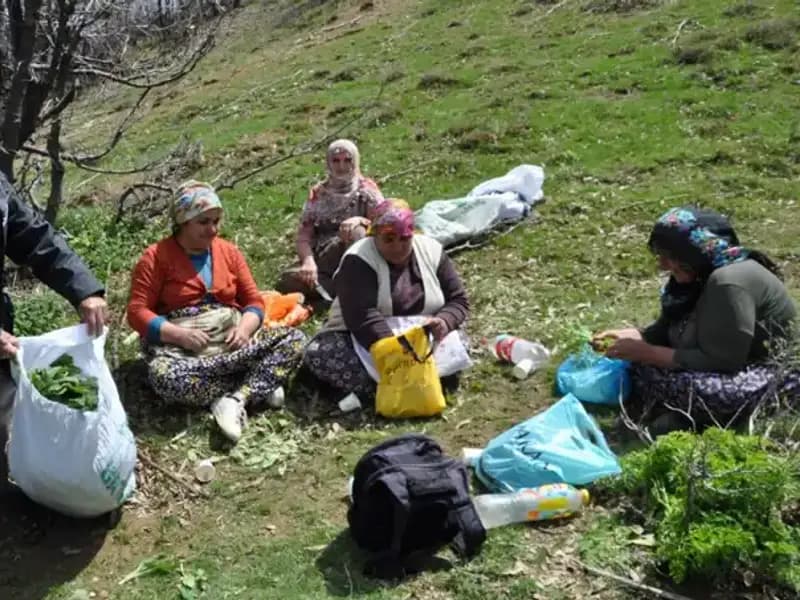Yüzlerce Ailenin Geçim Kaynağı: Yürüyerek Toplanan Doğal Madenler