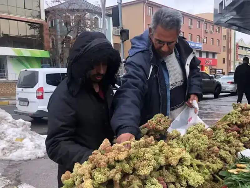 Kendiliğinden Yetişen Bu Bitki, Kanserle Savaşta Yeni Umut Oluyor