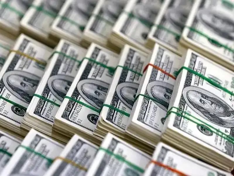 Dolar Yükselişi İçin Uzmanlardan Endişe Verici Uyarı: Ne Olacak?