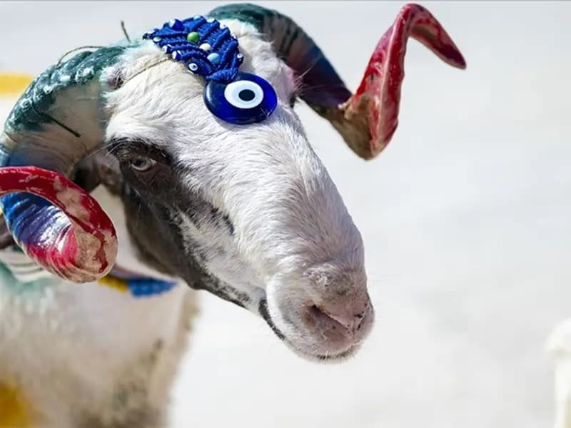 2026 Kurban Bayramı Tarihleri ve Tatil Süresi Hakkında Bilgiler