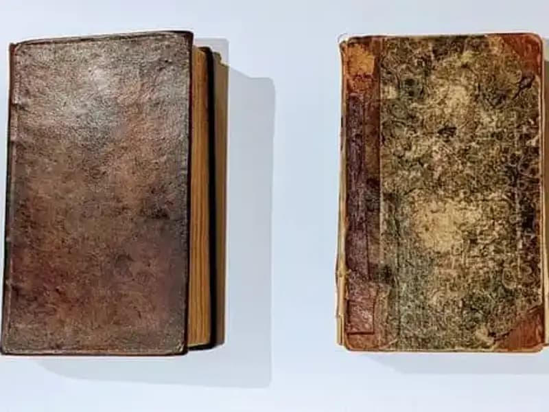 200 Yıllık Gizem: Katilin Derisiyle Yapılan Kitap Müze Rafında