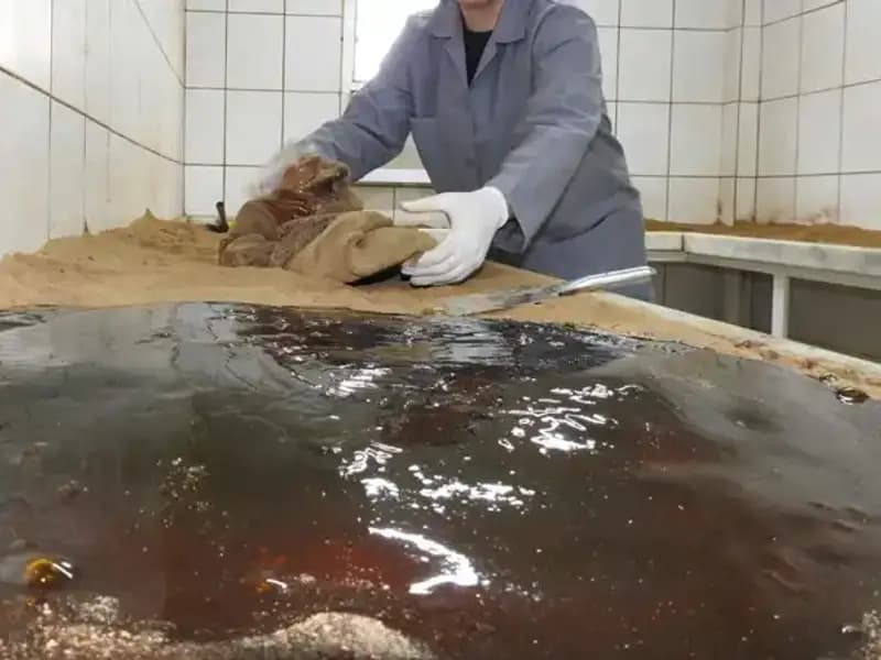 485 Yıllık Gelenek: 41 Çeşit Baharat ile Dualı Yemek Hazırlığı