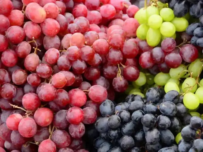 Yeşil Üzüm mü, Siyah Üzüm mü? Hangi Seçim Daha Sağlıklı?
