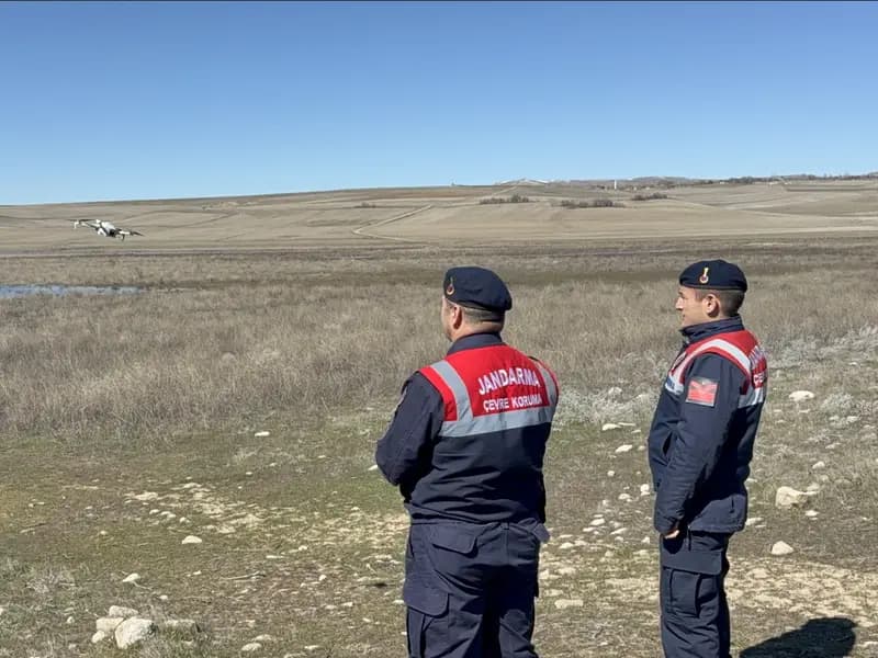 Yozgat'ta Jandarma Flamingoları 24 Saat Gözetliyor