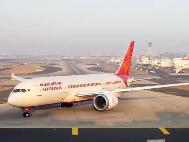 Valizden Yılan ve Kaplumbağalar Çıktı: Sınırda Şok Gelişme!