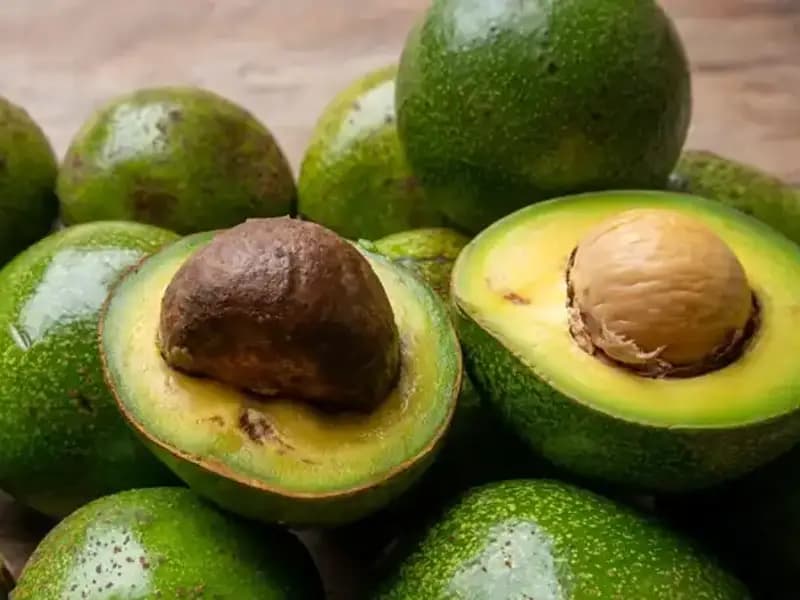 Avokado Çekirdeği: Atmaya Kıyamadığınız Mucizevi Faydaları