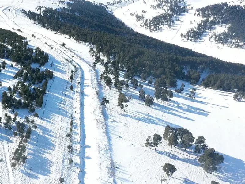 Sarıkamış Şehitleri Allahuekber Dağı'nda Anıldı