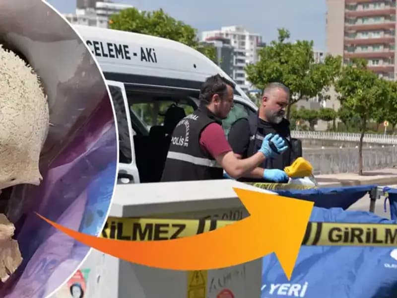 Sitenin Çöpünden Çıkan Kafatasının Gizemi: Uzman Doktor Gözaltına Alındı!
