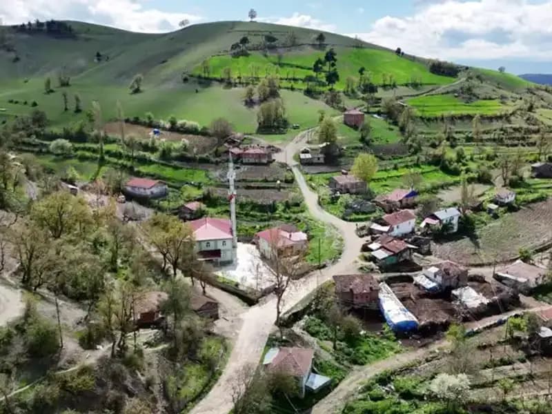 Türkiye’nin Bir Mahallesinde Doğuştan Engelli Büyüyen Çocuklar Sorunu