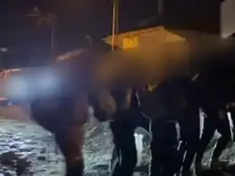 Van'da Göçmen Kaçakçılığına Darbe: 14 Kişi Gözaltında