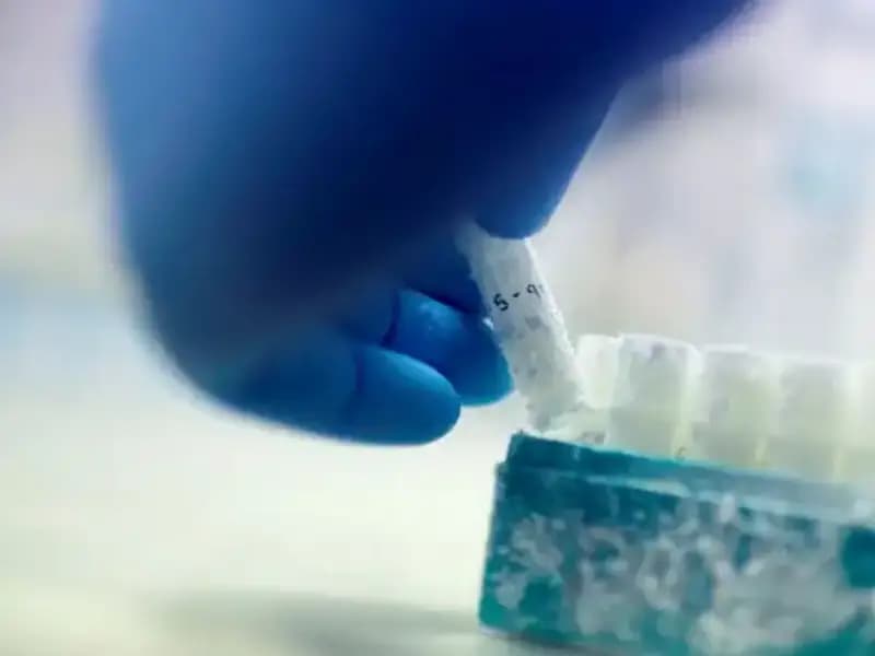 Tıbbi Felaket: 85 Sperm Donörüyle Doğan Binlerce Çocuk Tehlikede