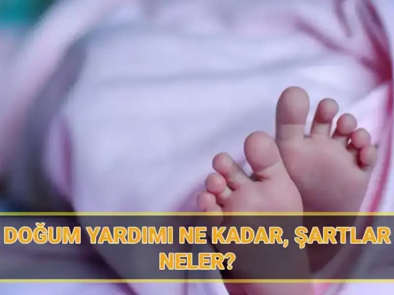 2025 Çocuk Parası Başvuruları Başladı: Doğum Yardımı Şartları ve Miktarı Nedir?