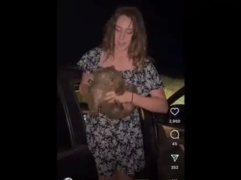 Yavruyu Annesinden Ayırırken Çektiği Anlar Kalpleri Parçaladı