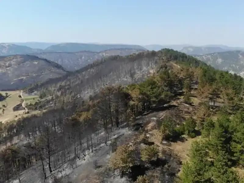 Bolu’da 5 Milyondan Fazla Fidan Toprakla Buluşacak: Doğa İçin Büyük Adım
