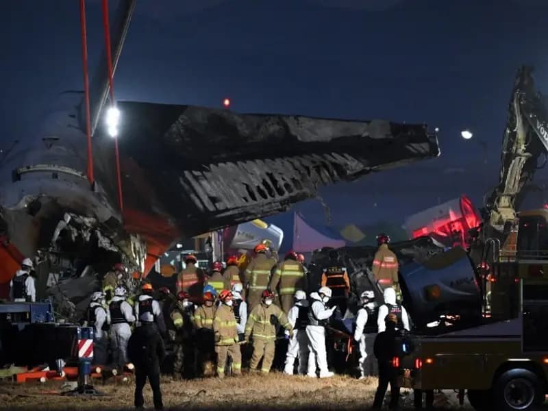 Güney Kore'deki 179 Can Alan Uçak Kazasının Gizemi Çözüldü