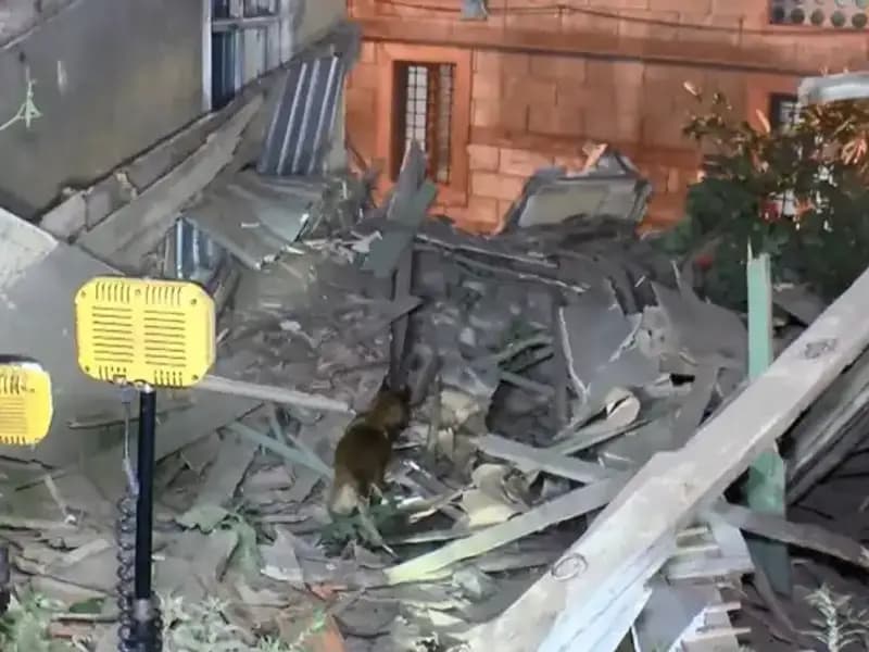 İstanbul'da Deprem Sonrası İki Katlı Bina Çöktü: Üzerinde Çalışmalar Devam Ediyor