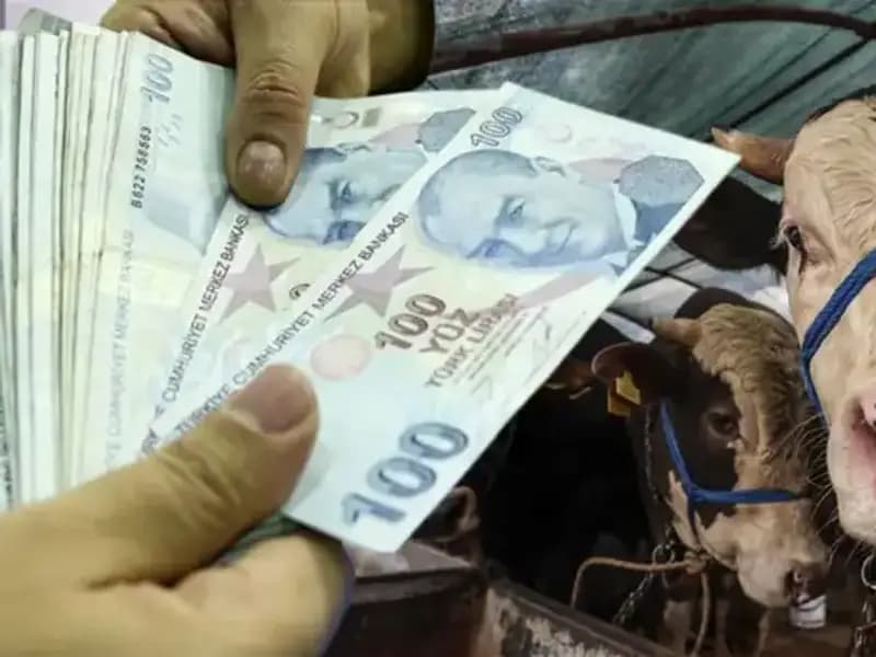 Kurban Bayramı Öncesi Maaşlar Yatacak mı? Emeklilere Müjde Geldi!