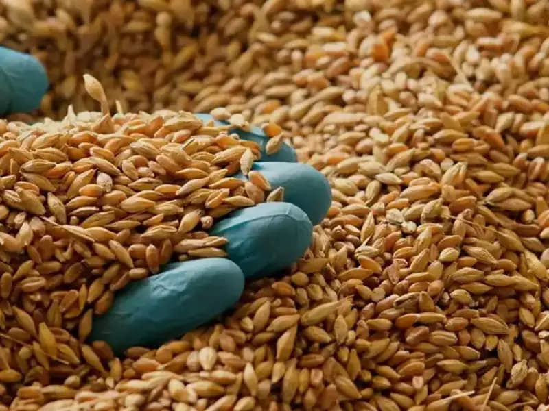 Kalp Hastalığı Riskini Azaltan Beslenme İpuçları: Uzman Tavsiyeleri