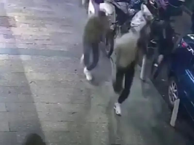 Hakkari Seçim Husumeti, İstanbul’da Gerginliklere Neden Oluyor