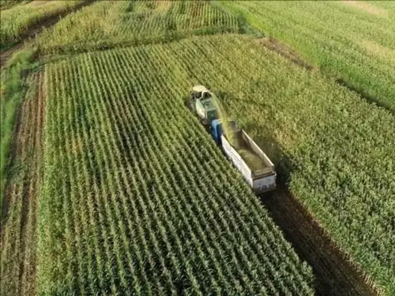 2025 Mart Ayı: Mazot ve Gübre Desteği Ödemeleri Hakkında Son Gelişmeler