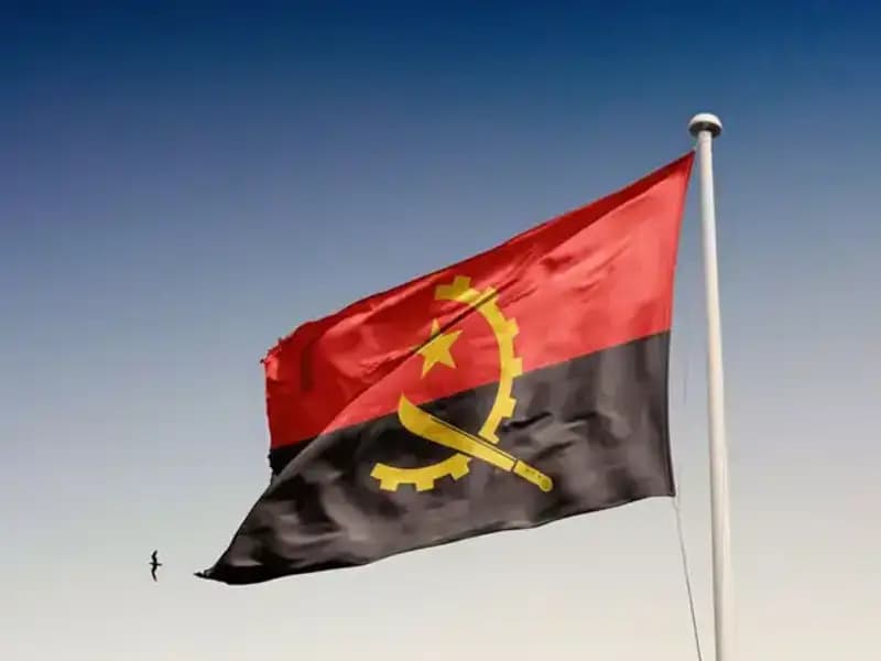 Angola'ya Giriş Engel: 20 Siyasinin Gözaltına Alınma Sebepleri Neler?