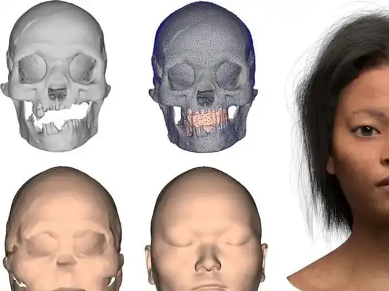 16 Bin Yıl Önce İnsanların Hayatta Kalma Stratejileri Nasıldı?