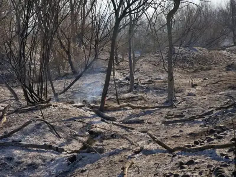 Osmaniye Kuş Cenneti'nde Yangın: Doğa Koruma Mücadelesi Tehdit Altında
