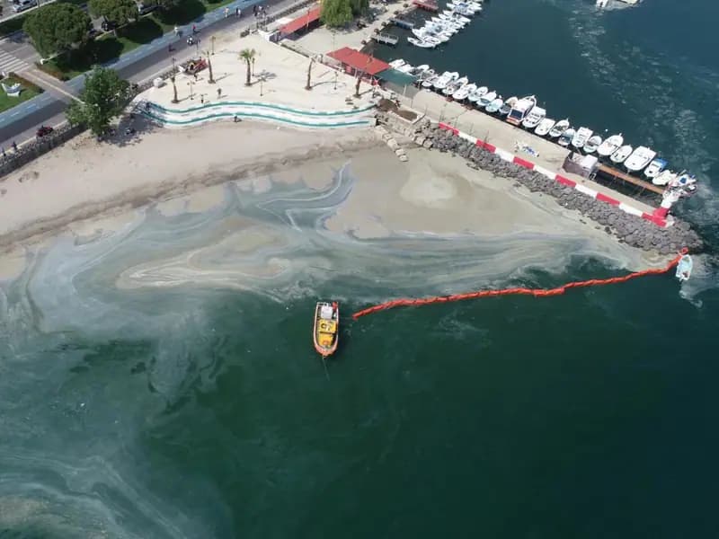 ** Müsilaj Bilim Kurulu Toplantısı Yapılacak

**