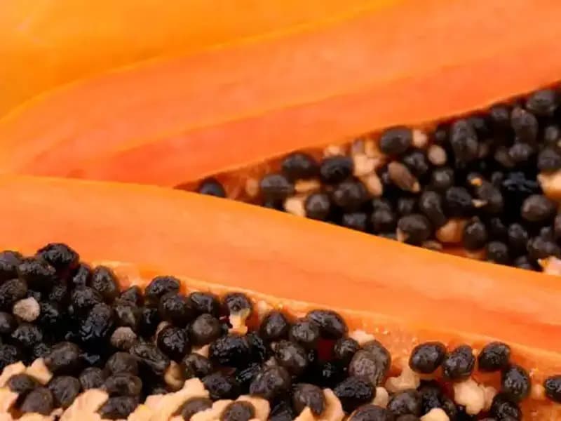 Aşırı Açlık: Vücudu Temizleyen Etkileri ve Sağlık Faydaları