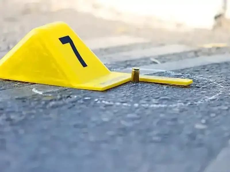 2024’te Kadın Cinayetleri: Aynı Kader, Farklı İsimler