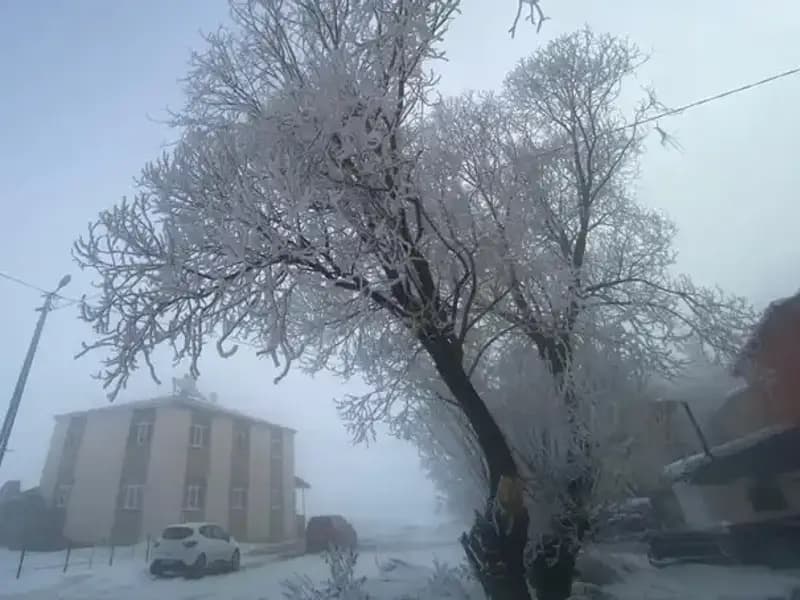 Göle Bölgesinde Sıcaklık Rekorları: Eksi 18 Dereceyi Gördü