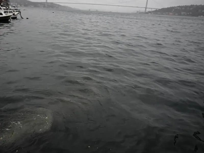 Üsküdar'da Kanalizasyon Suyu Denize Aktı