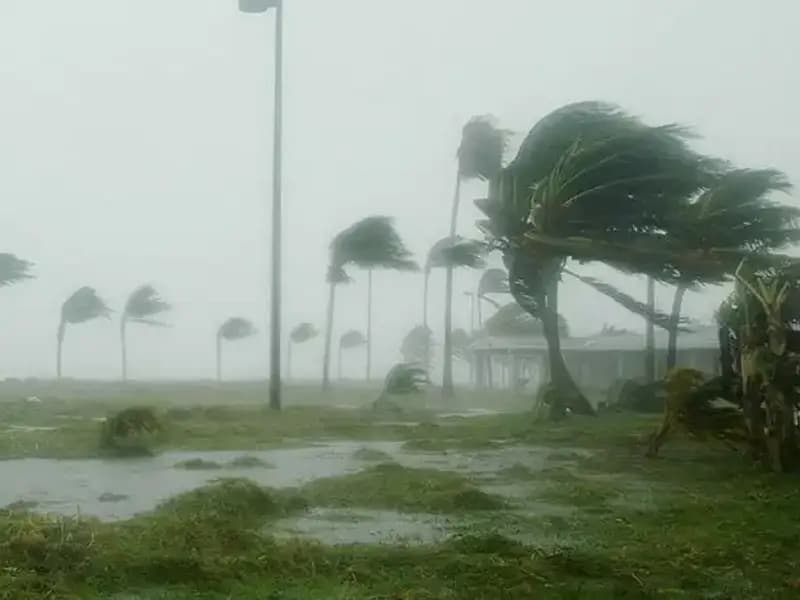 Çin'in Başkenti Pekin'i Vuran Şiddetli Rüzgarlar Hayatı Olumsuz Etkiliyor