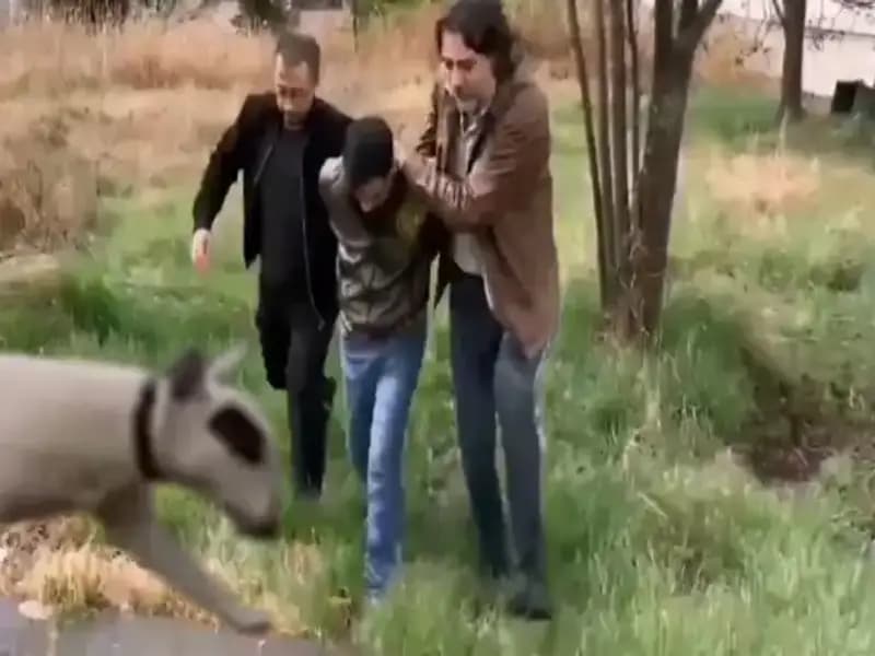 430 Bin Lira Değerindeki Şampiyon Köpek Hırsızı, Polisin Takibiyle Ele Geçirildi