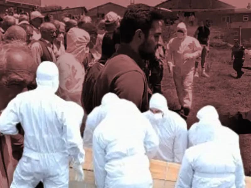 Kene Popülasyonu Artıyor: Altı Şehir İçin Uyarı Yapıldı