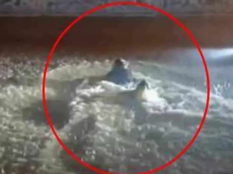 Midyat'ta Aniden Yağan Sağanak, Sokakları Su İçinde Bıraktı