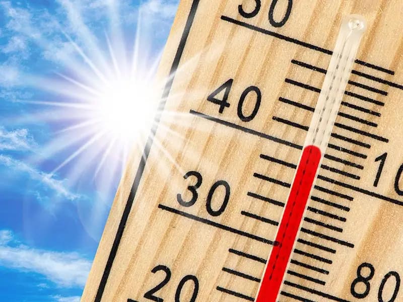 Dünya 2024'te Rekor Sıcaklıkta