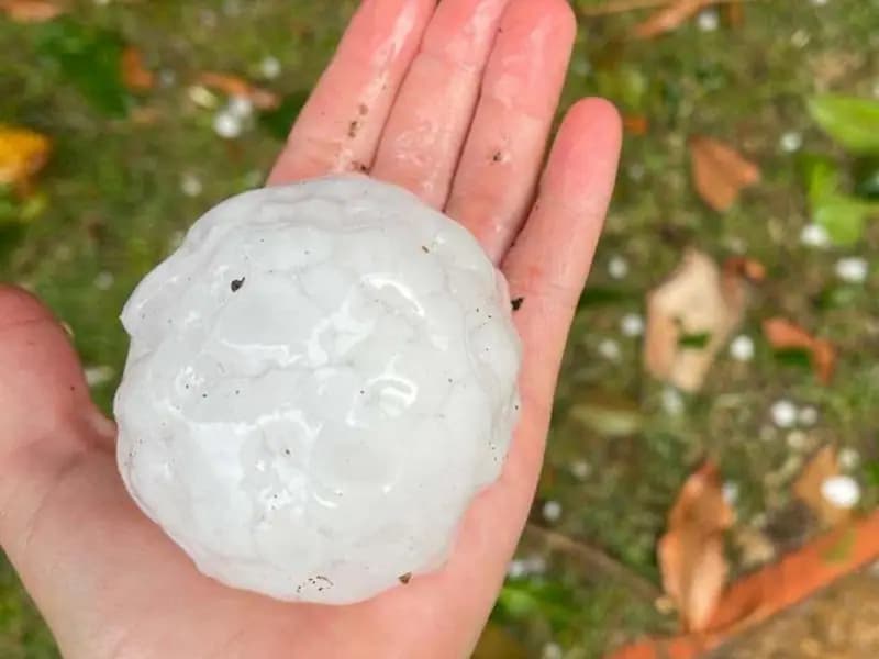 Dev Dolu Tanelerinin Sırları Çözüldü!