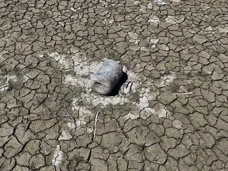 İstanbul’da kuraklık tehlikesi: Barajlar alarm veriyor!