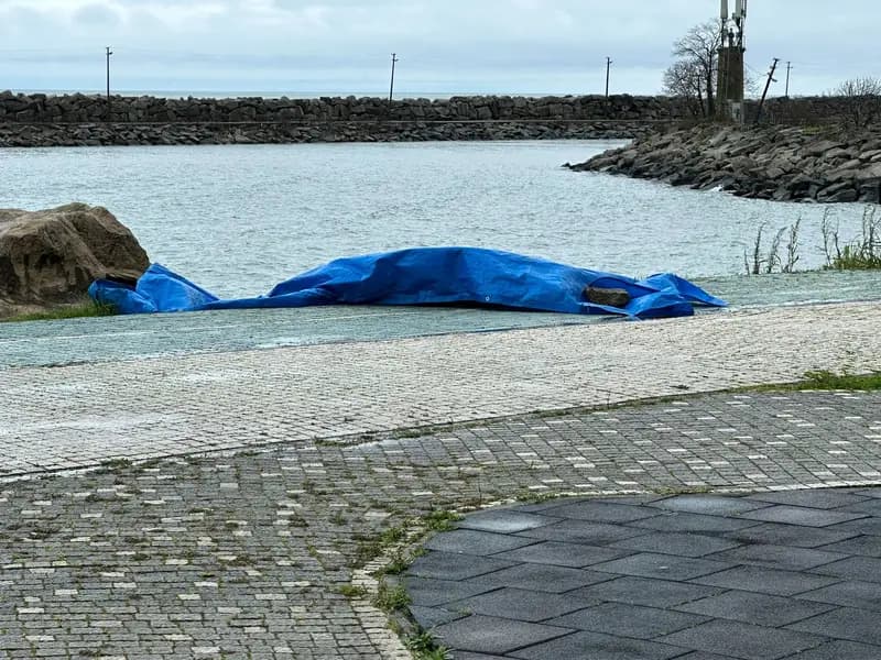 Ordu'da Sahile İnsansız Hava Aracı Vurdu, İncelemeler Devam Ediyor