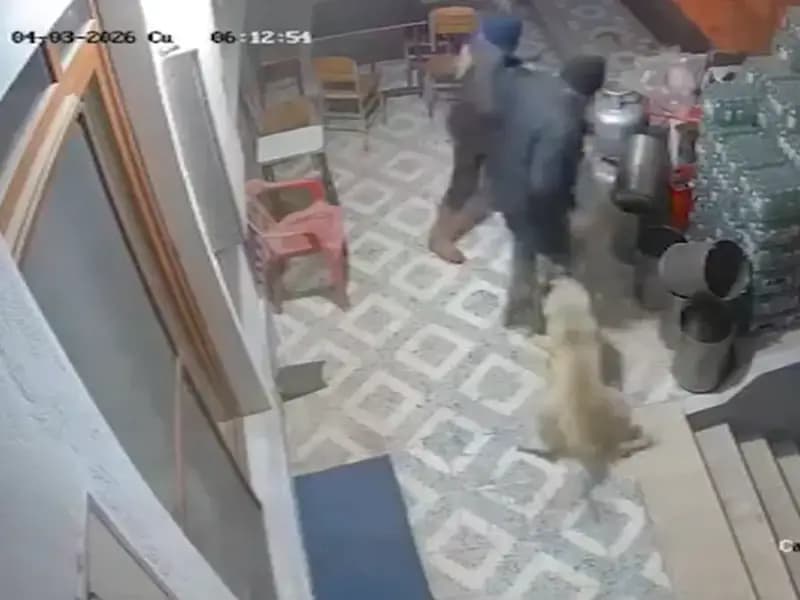 Manisa'da Sahipsiz Köpek Saldırısı: Bir Adamın Parmak Kayıp