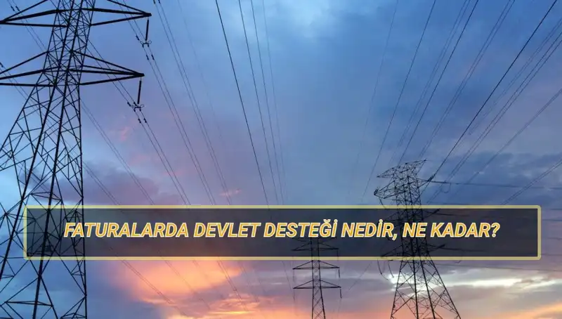 2025 Yılı İçin Devlet Destekli Faturalar: Elektrik ve Doğalgazda Kimler Yararlanacak?