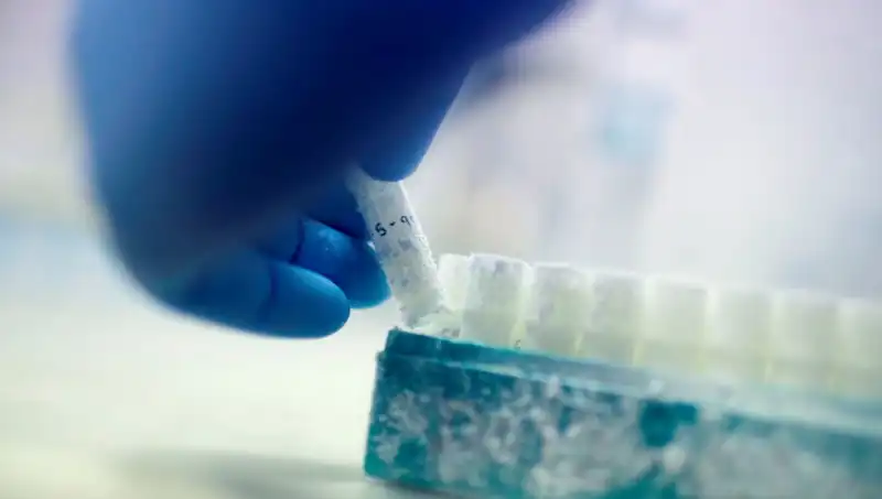 Tıbbi Felaket: 85 Sperm Donörüyle Doğan Binlerce Çocuk Tehlikede