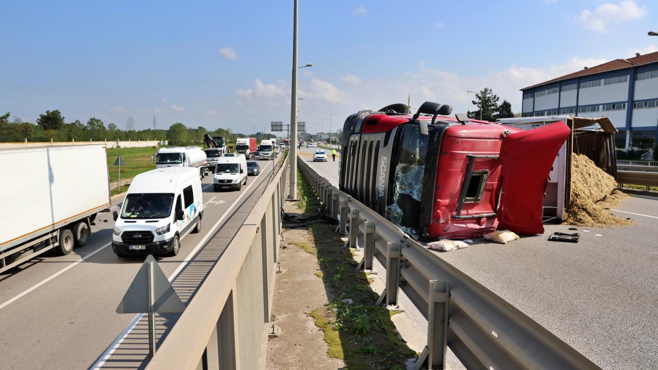 Arı Sokması Şoförü Bayılttı: Kontrolden Çıkan Tır Devrildi, 50 Metre Sürüklendi