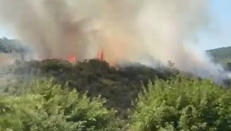 İstanbul'da Orman Yangını Başladı: 8 Mahallede Tahliye Kararı Alındı
