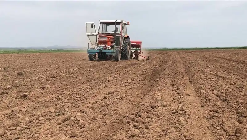 Son 35 Yılın En Kurak Mart Ayı: Yağışlar Yüzde 59 Düştü