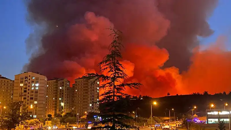 Bursa'da Yangınlar Şehri Sarmaladı: Nedenleri ve Son Gelişmeler
