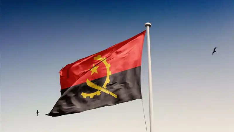 Angola'ya Giriş Engel: 20 Siyasinin Gözaltına Alınma Sebepleri Neler?